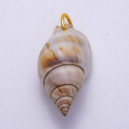 SUMMER 18K Gold Filled 34mm Natural Conch Sea Shell Charm | Charms-00555