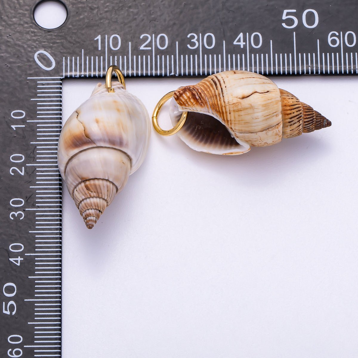 SUMMER 18K Gold Filled 34mm Natural Conch Sea Shell Charm | Charms-00555