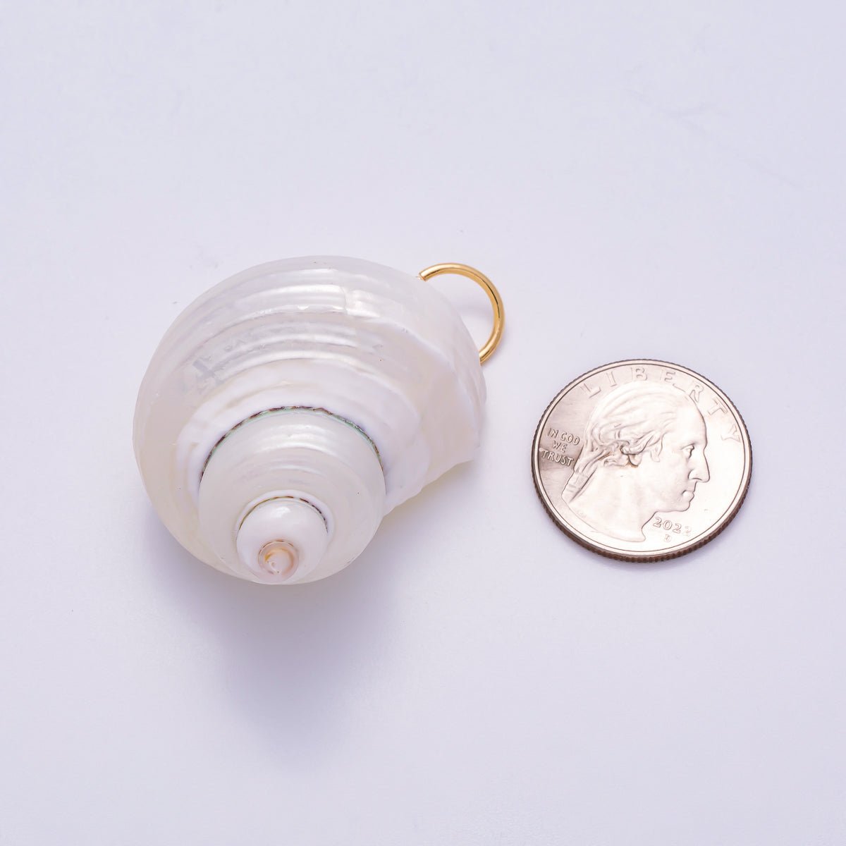 SUMMER 18K Gold Filled 48mm Freshwater Pearl Nautical Conch Sea Shell Charm | Charms-00553