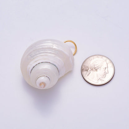 SUMMER 18K Gold Filled 48mm Freshwater Pearl Nautical Conch Sea Shell Charm | Charms-00553