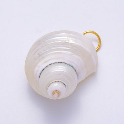 SUMMER 18K Gold Filled 48mm Freshwater Pearl Nautical Conch Sea Shell Charm | Charms-00553