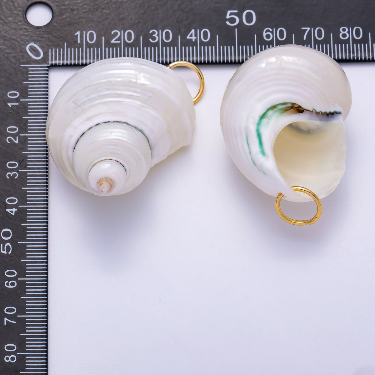 SUMMER 18K Gold Filled 48mm Freshwater Pearl Nautical Conch Sea Shell Charm | Charms-00553