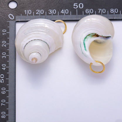SUMMER 18K Gold Filled 48mm Freshwater Pearl Nautical Conch Sea Shell Charm | Charms-00553