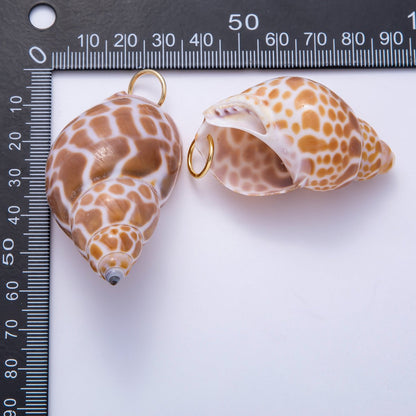 SUMMER 18K Gold Filled 52mm Natural Brown Spotted Conch Shell Pendant | Charms-00559