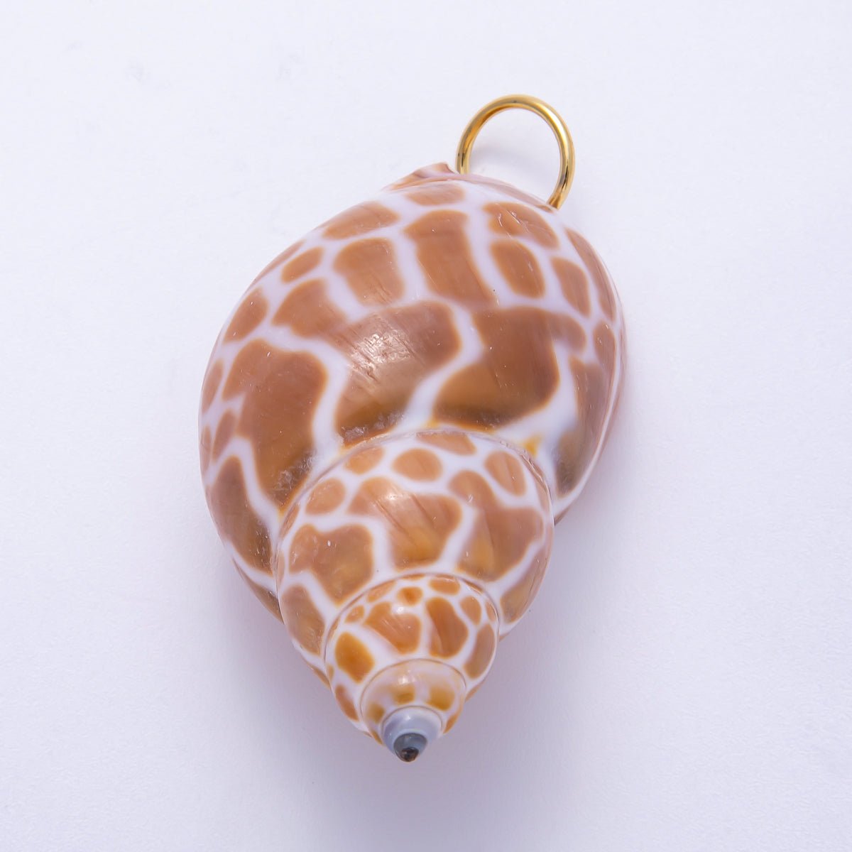 SUMMER 18K Gold Filled 52mm Natural Brown Spotted Conch Shell Pendant | Charms-00559