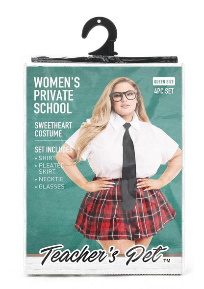 School Sweetheart Costume