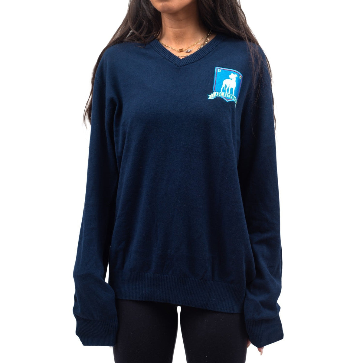 Ted Lasso Coach AFC Richmond Sweater Halloween Costume Cosplay