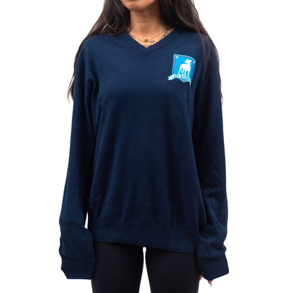 Ted Lasso Coach AFC Richmond Sweater Halloween Costume Cosplay