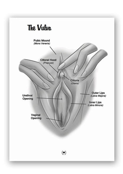 The Mystery of the Undercover Clitoris Touching Orgasmic Fingertip