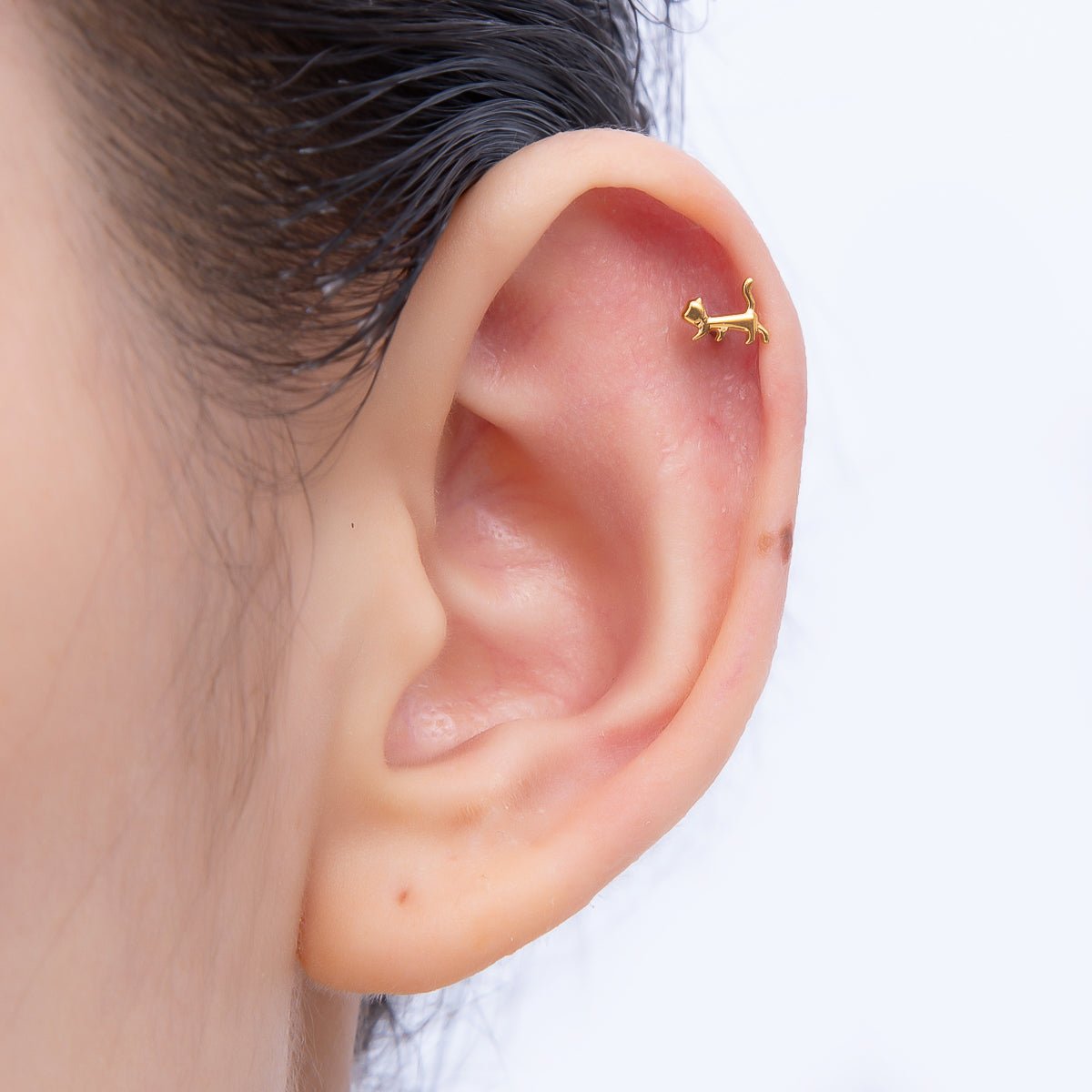 Titanium 8mm Pet Minimalist Cartilage Piercing Flat Back Stud in Gold &amp; Silver | BJ-00094 BJ-00095