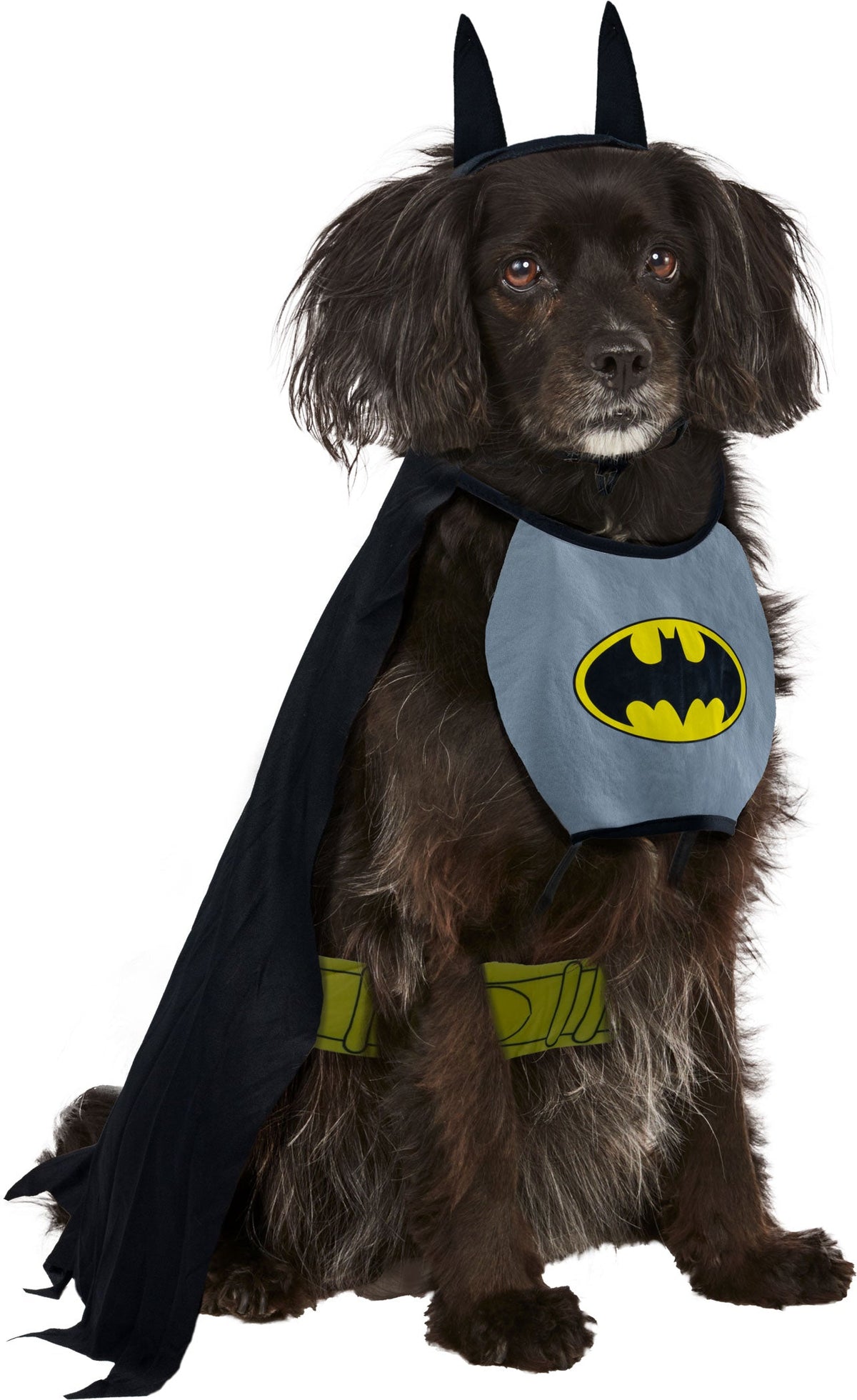 DC Comics Classic Batman Pet Costume Superheros