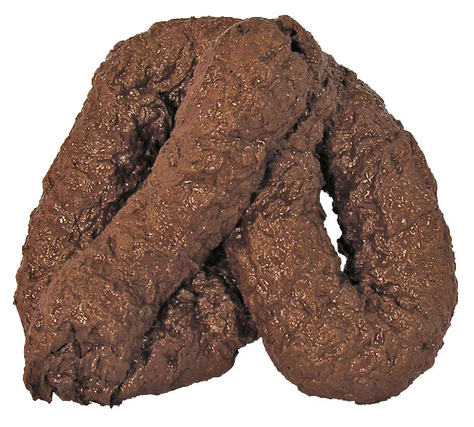 Dog Dirt Fake Chunky Doodoo Brown Poop