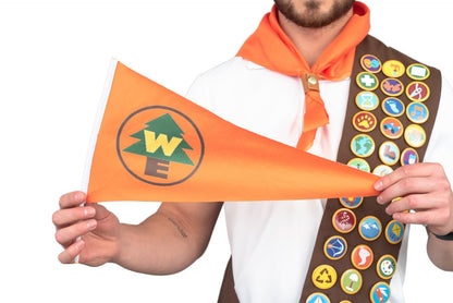 UP Sash with Pins, Flag &amp; Neck Piece